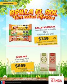 Catálogo Super Ganga Página 6