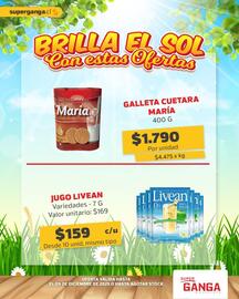 Catálogo Super Ganga Página 8