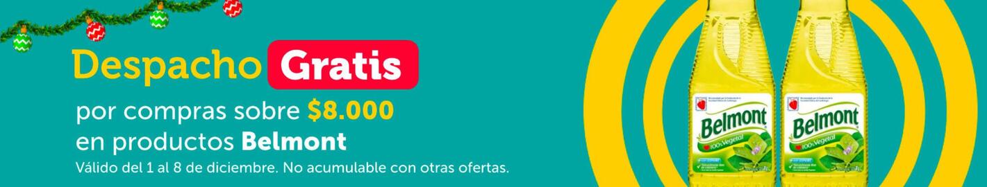 Catálogo Santa Isabel semana 49 Página 7