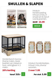 Intratuin folder week 50 Pagina 3