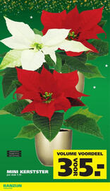 Ranzijn folder Pagina 2