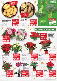 Kaufland leták týden 50 Strana 13