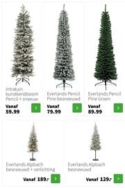 Intratuin folder Pagina 17