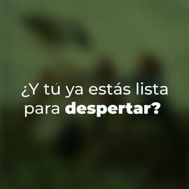 Catálogo Blen semana 50 Página 4