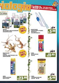 Volantino Zoomiguana Pagina 11