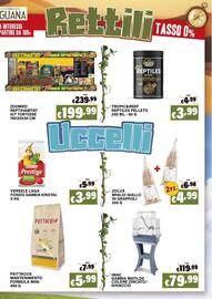 Volantino Zoomiguana Pagina 9