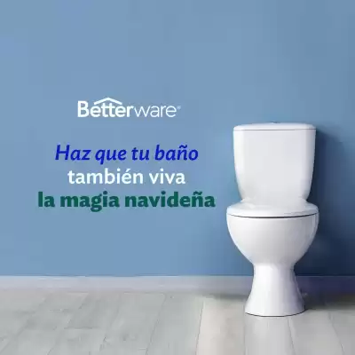 Catálogo BetterWare (válido hasta 10-12)