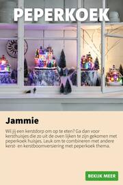 Intratuin folder Pagina 10