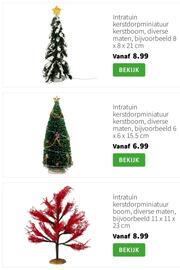 Intratuin folder Pagina 37