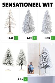 Intratuin folder Pagina 41