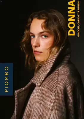 Volantino OVS (valido fino al 5-01)