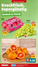 PENNY DE folder week 50 Pagina 4