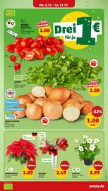 PENNY DE folder week 50 Pagina 5