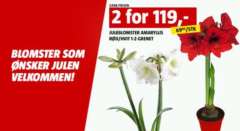 Bauhaus kundeavis Side 5