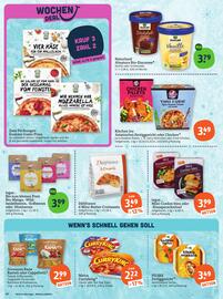 Basic Prospekt Seite 14