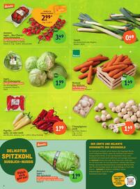 Basic Prospekt Seite 4