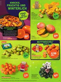 Basic Prospekt Seite 5