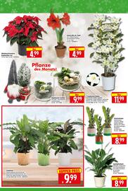 Herkules Baumarkt Prospekt woche 50 Seite 2