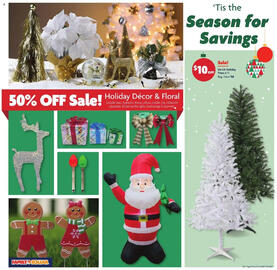 Family Dollar weekly ad week 50 Page 7