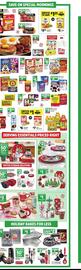 Dollar General weekly ad week 50 Page 12