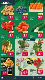 NETTO Prospekt woche 51 Seite 2