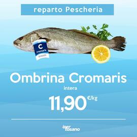 Volantino Iper Tosano settimana 50 Pagina 5