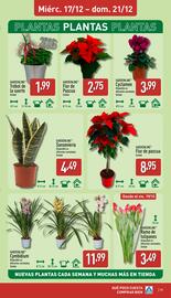 Folleto ALDI semana 51 Página 19