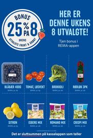 Rema 1000 kundeavis uke 50 Side 13