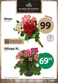 Joker kundeavis uke 50 Side 13