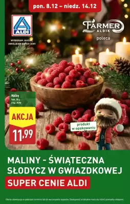 ALDI gazetka (ważność do 14-12)