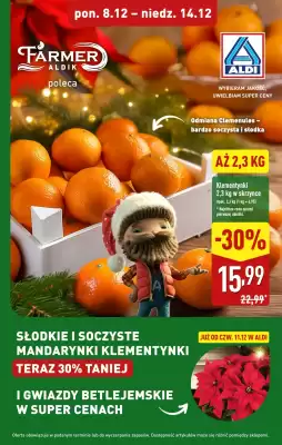 ALDI gazetka (ważność do 14-12)