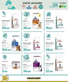 Volantino Arcaplanet settimana 50 Pagina 38