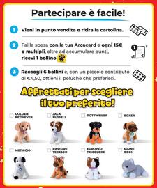 Volantino Arcaplanet settimana 50 Pagina 43