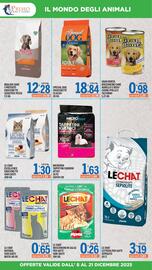 Volantino Gruppo Pascar Pagina 15