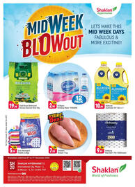 Shaklan leaflet Page 1