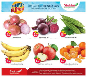 Shaklan leaflet Page 3