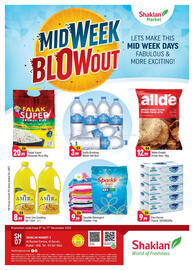 Shaklan leaflet Page 1