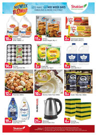 Shaklan leaflet Page 2