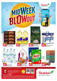 Shaklan leaflet Page 1