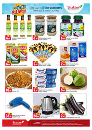 Shaklan leaflet Page 2