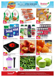 Shaklan leaflet Page 2