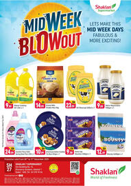 Shaklan leaflet Page 1