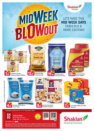 Shaklan leaflet Page 1