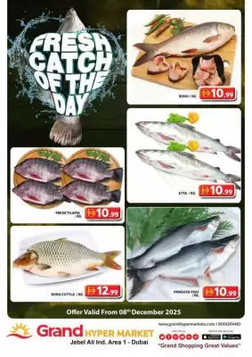 Grand Hyper Market catalogue (valid until 8-12)
