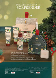 Catálogo Yves Rocher Página 17