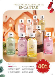 Catálogo Yves Rocher Página 29