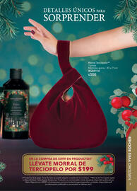 Catálogo Yves Rocher Página 3