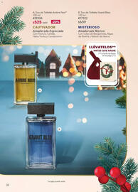 Catálogo Yves Rocher Página 32