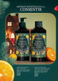 Catálogo Yves Rocher Página 8