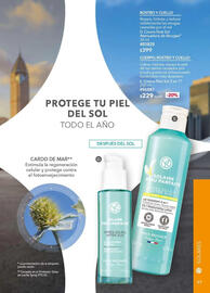 Catálogo Yves Rocher Página 99
